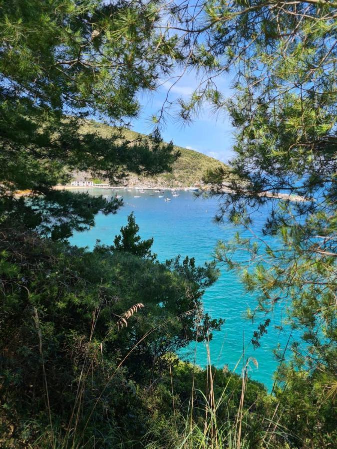 B&B La Marinella ปาลีนูโร ภายนอก รูปภาพ