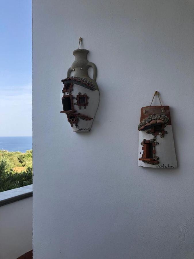 B&B La Marinella ปาลีนูโร ภายนอก รูปภาพ